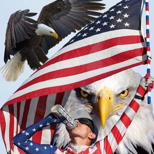 Meet your Posher, Jesse